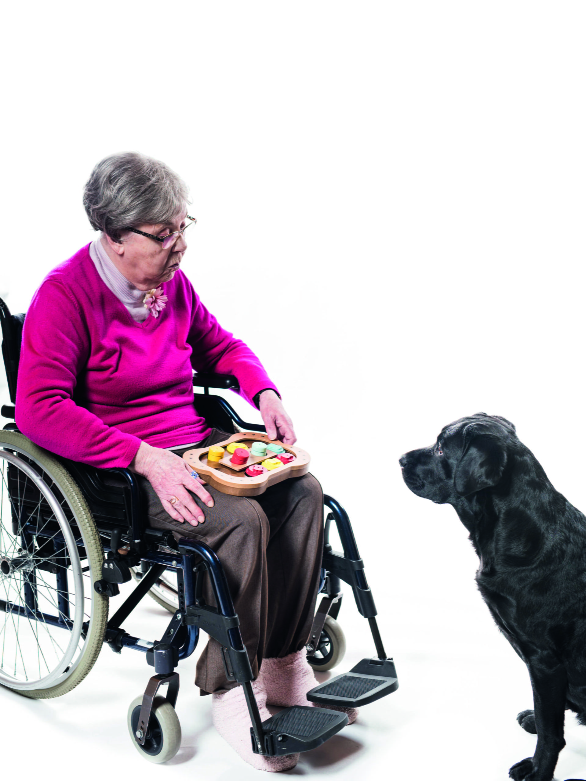 Eläinavusteisen työn historia