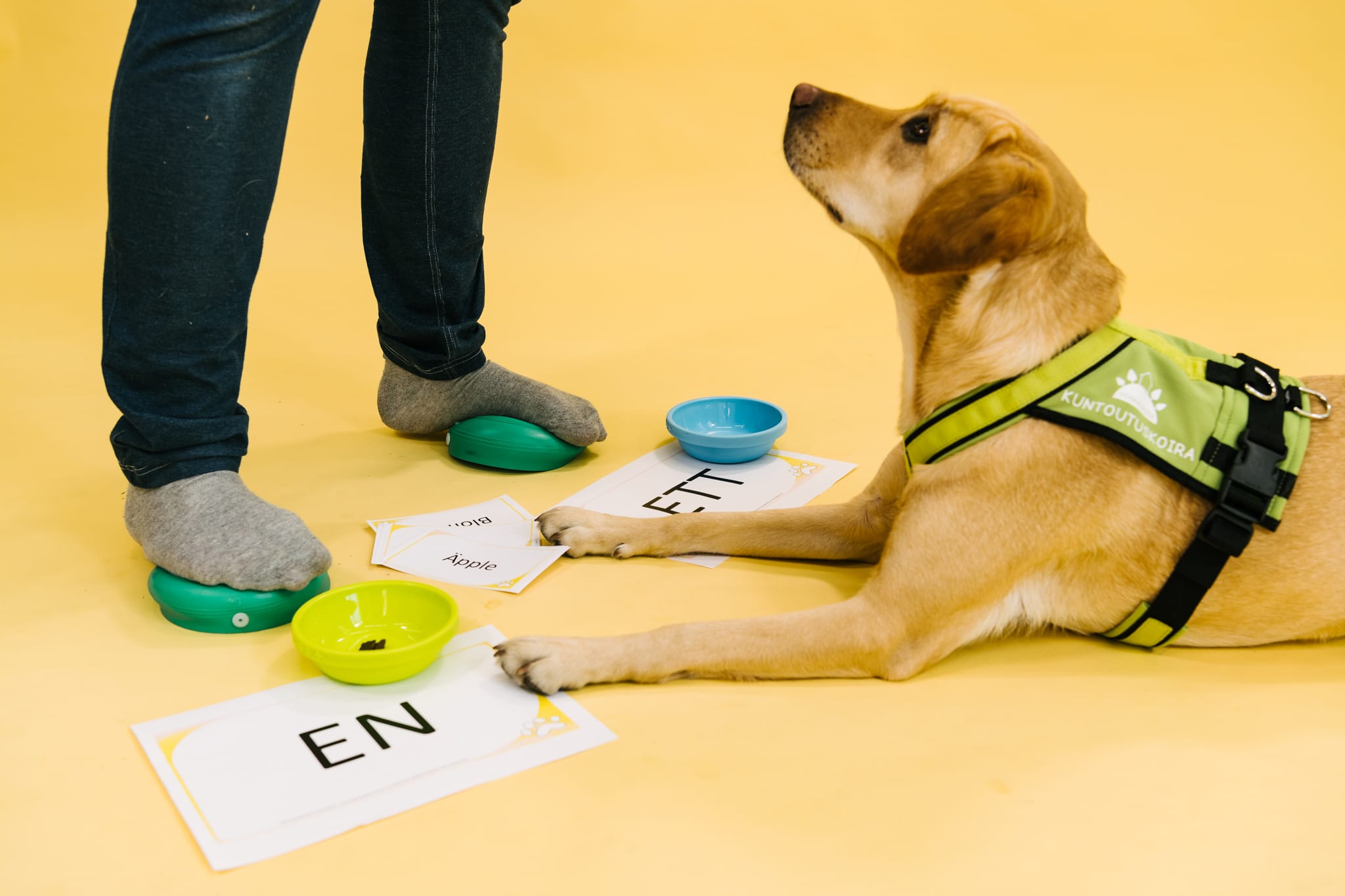 Etiikka eläinavusteisessa työskentelyssä